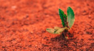 Advice from grantmakers: Building blocks for resilience