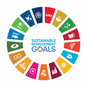 Everyone is starting to adopt the UN SDG framework, but how can you effectively track your efforts against it?
