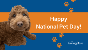National Pet Day: Meet the GivingData Team’s Purr-fect Companions