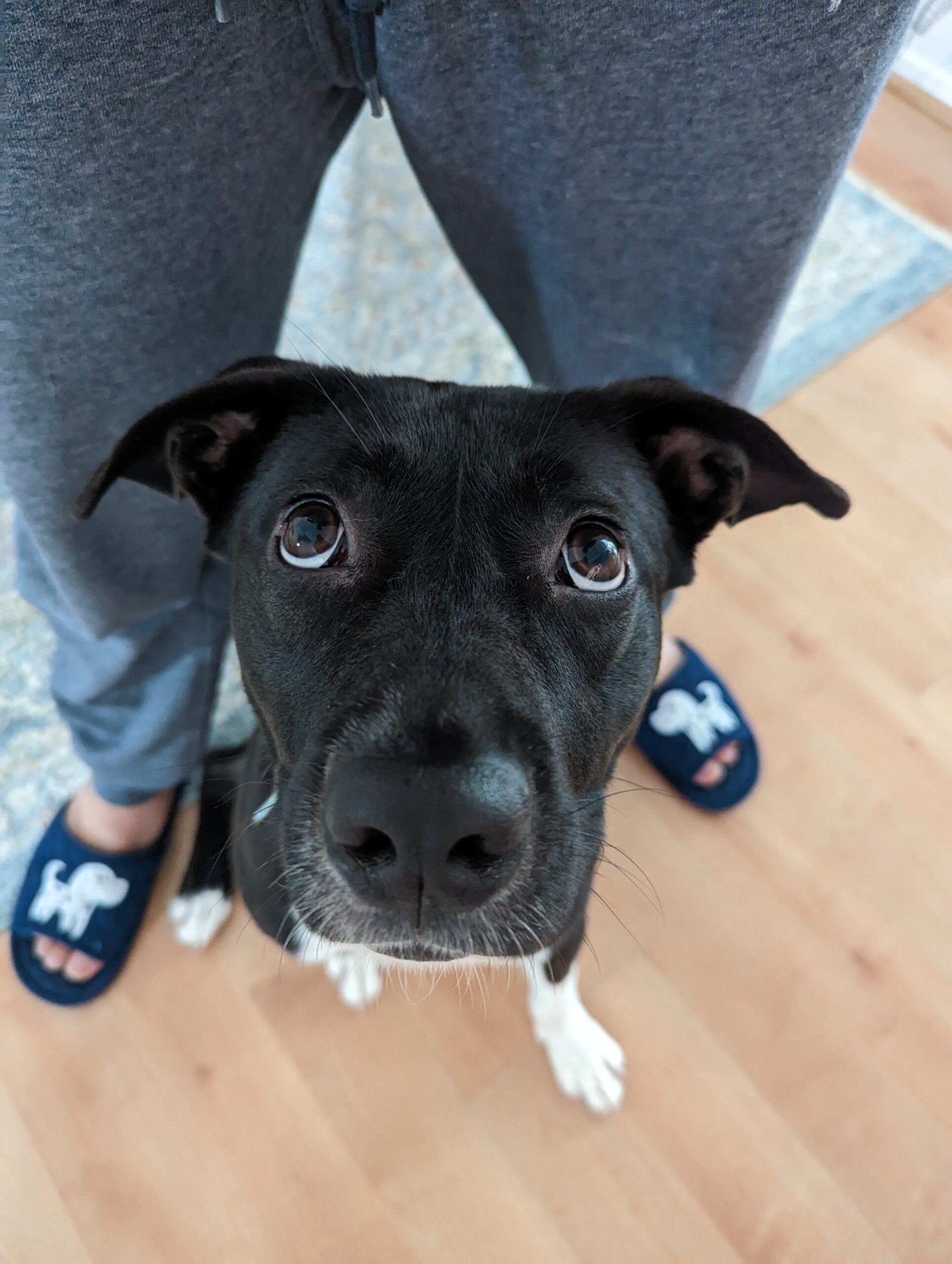 PXL_20230227_223903876