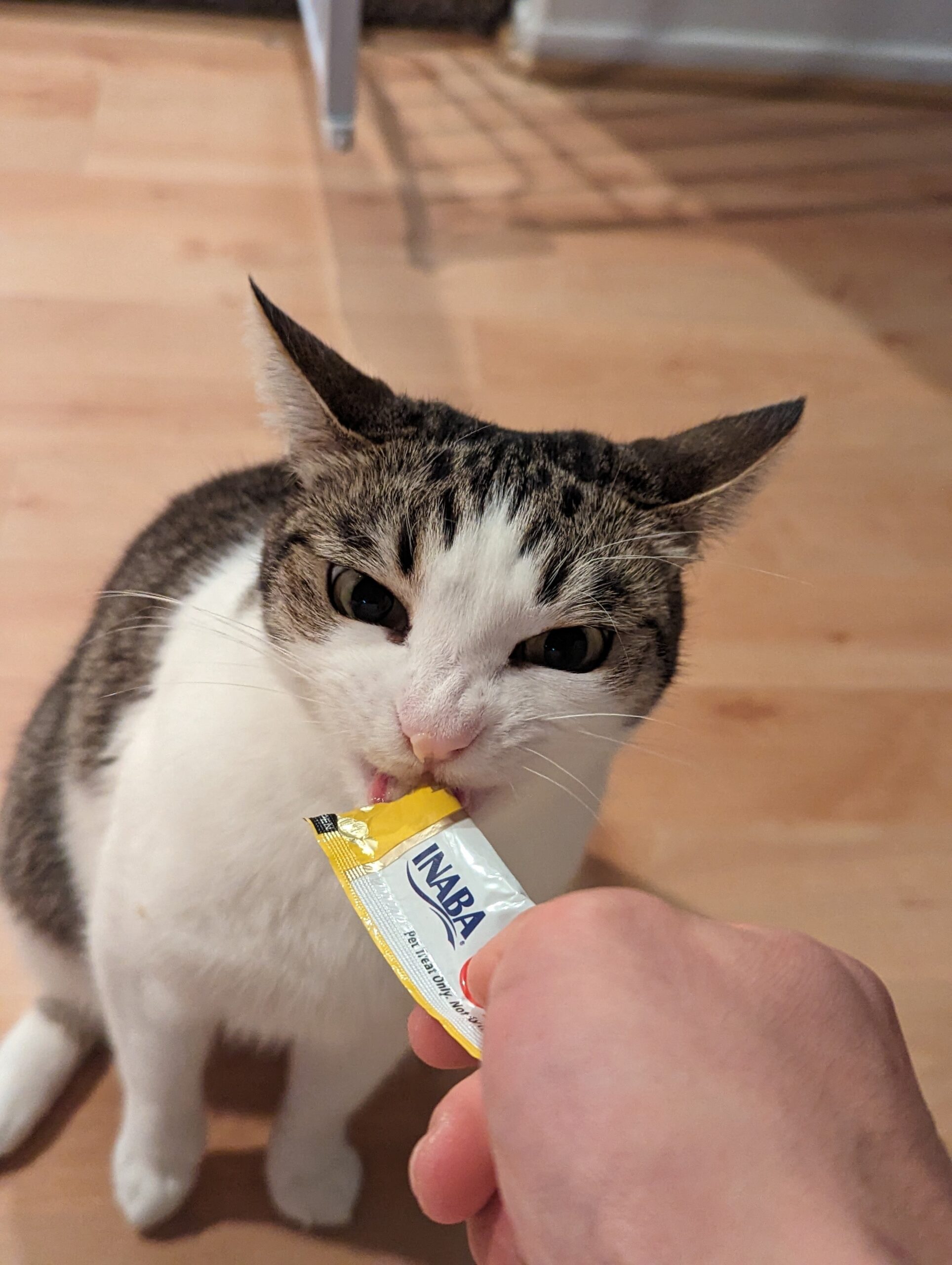 PXL_20231215_062245647.MP