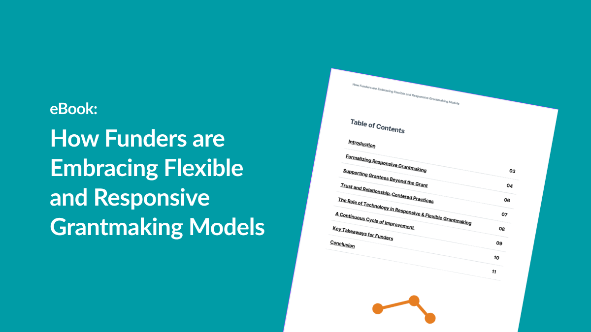 Flexible and responsive grantmaking ebook